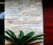 CSQ Exterior 03