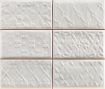 CACMUDWHITE CACMUDWHITE
