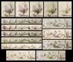 SCMAGNOLIA01